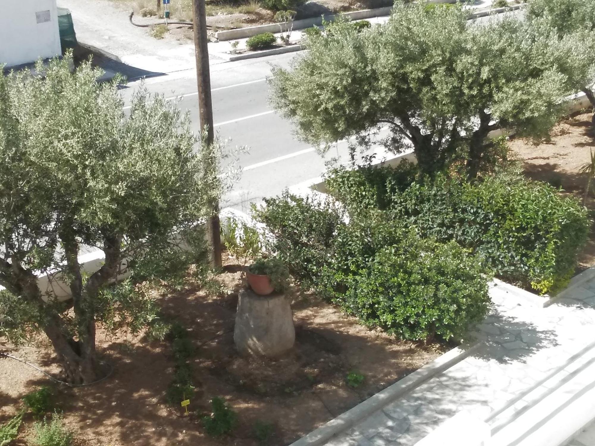 New Aurora Apts Studios Ferma Dış mekan fotoğraf